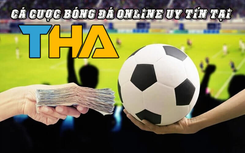 Tìm hiểu việc chơi cá cược bóng đá trực tuyến tại Thabet