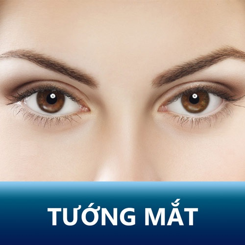 Một số loại tướng mắt phụ nữ thường gặp