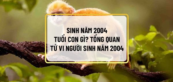 1. Sinh năm 2004 mệnh gì? 2004 là tuổi gì?